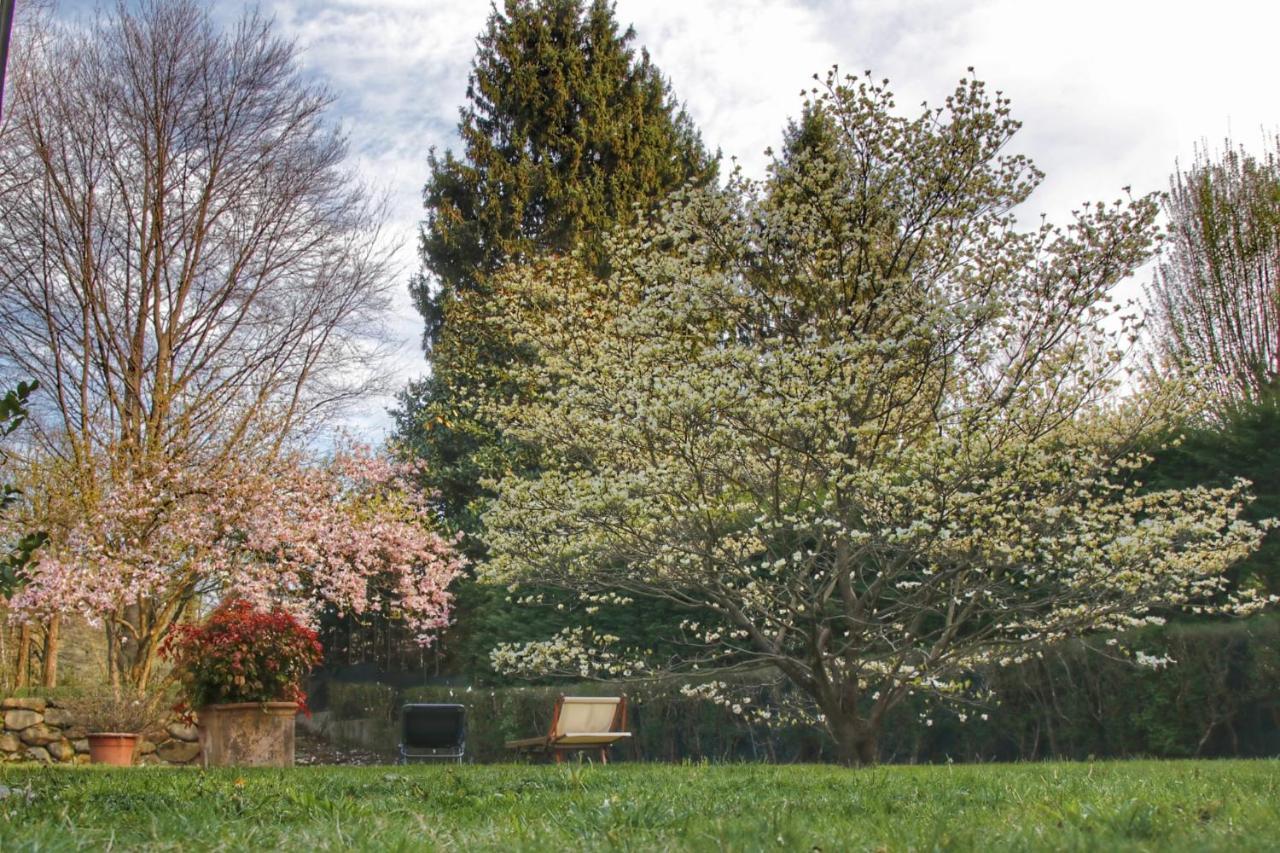 B&B Le Magnolie Carimate Zewnętrze zdjęcie